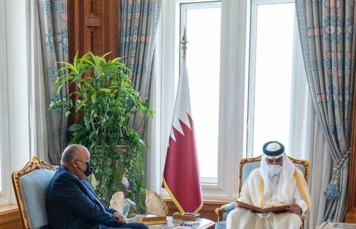 بعد 8 سنوات من قطع العلاقات.. أمير قطر يستقبل وزير الخارجية المصري