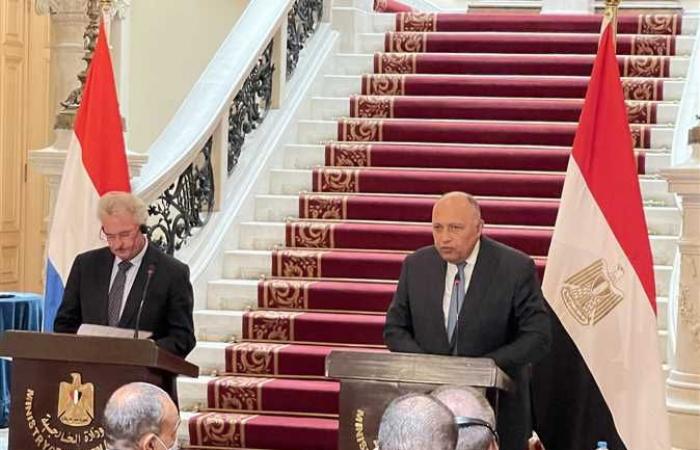 وزير الخارجية يطالب المجتمع الدولي بتحمل مسؤولياته تجاه قضية سد النهضة