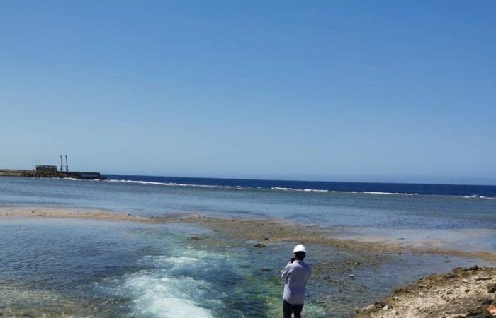 رصد 140 مخالفة بيئية في الحملات التفتيشية بالساحل الغربي