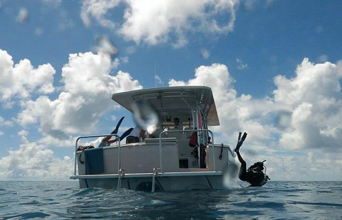 لاستكشاف الشعاب المرجانية.. شراكة بين "مؤسسة خيرية" ووكالة ناسا
