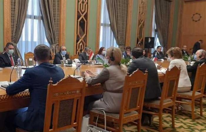 مشاورات مصرية روسية لإطلاق فعاليات عام التبادل الإنساني بين مصر وروسيا