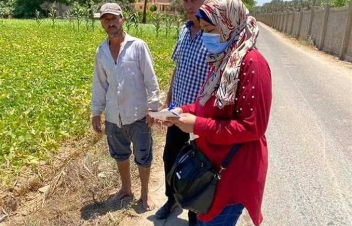 قافلة إرشادية لتوعية المزارعين بطرق رى وتسميد محصول القطن في الإسكندرية (صور)