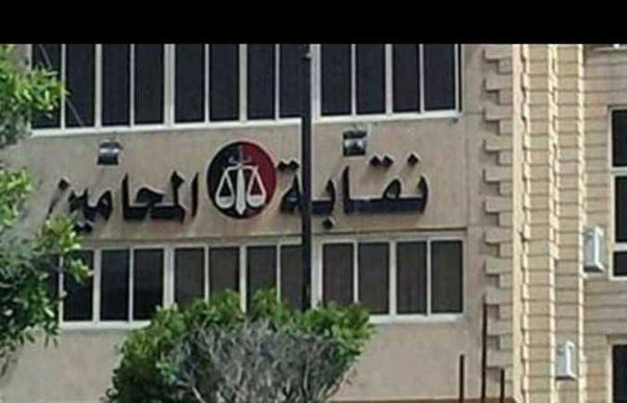 «محامين الإسماعيلية»: الانتهاء من تطوير غرف المحامين بمحاكم المحافظة الشهر المقبل