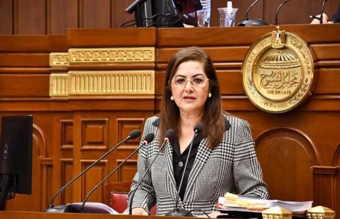 وزيرة التخطيط: مصر بدأت في وضع رؤية طويلة المدى أطلقها الرئيس السيسي