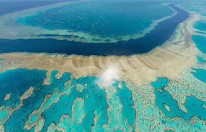 إدراج «الحاجز المرجاني العظيم» بأستراليا على قائمة المواقع المعرضة للخطر
