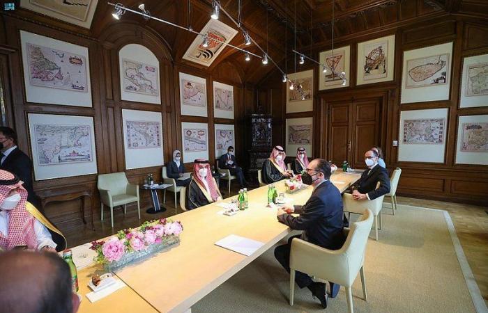 وزير الخارجية يلتقي نظيره النمساوي ويعقدان جلسة مباحثات رسمية