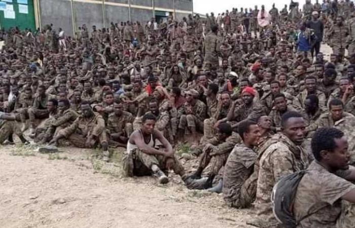 شاهد.. لحظة أسر مئات الجنود والضباط الإثيوبيين