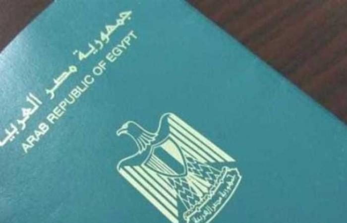 «الرقابة المالية»: وثيقة التأمين إلزامية عند استخراج جواز السفر