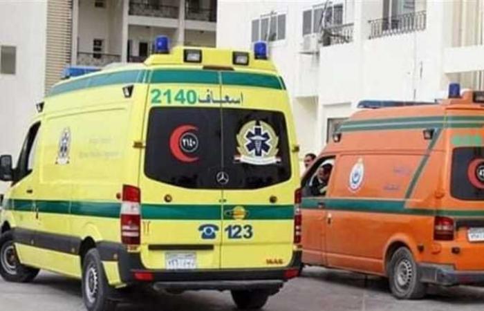 مصرع شخصين وإصابة 9 في حادث انقلاب سيارة بالمنيا