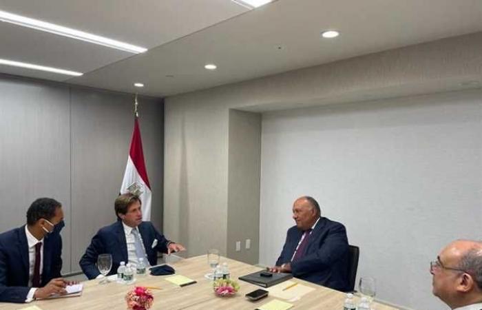 وزير الخارجية يلتقي رئيس مجلس الأمن لشرح موقف مصر تجاه سد النهضة