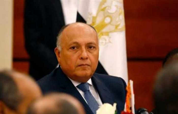 وزير الخارجية يكشف خطوة مصر بعد مجلس الأمن: نتعامل بمسؤولية وصبر بشأن «سد النهضة»