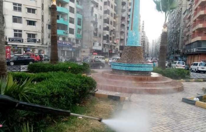 الإسكندرية تكافح الحشرات والقوارض برش وتعقيم الميادين والشوارع (صور)