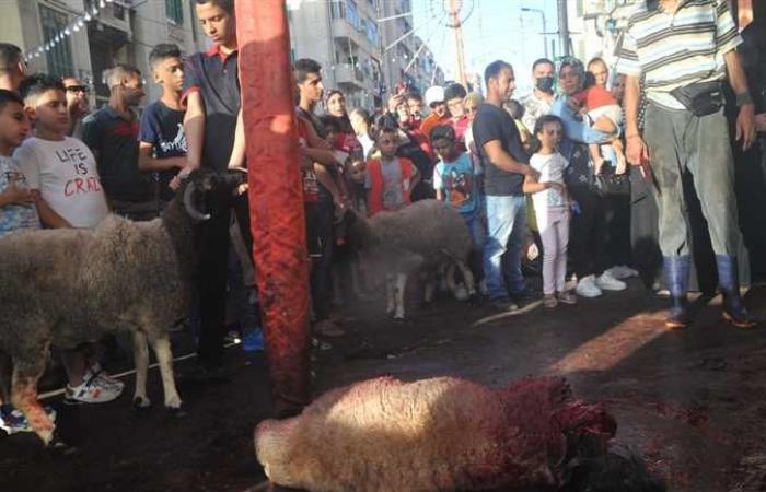 الآلاف يؤدون صلاة العيد بالإسكندرية وسط أجواء ذبح الأضاحى (صور)