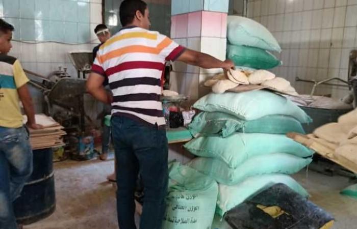 ضبط 55 مخالفة منشآت غذائية وإعدام 387 كيلو أغذية في المنيا