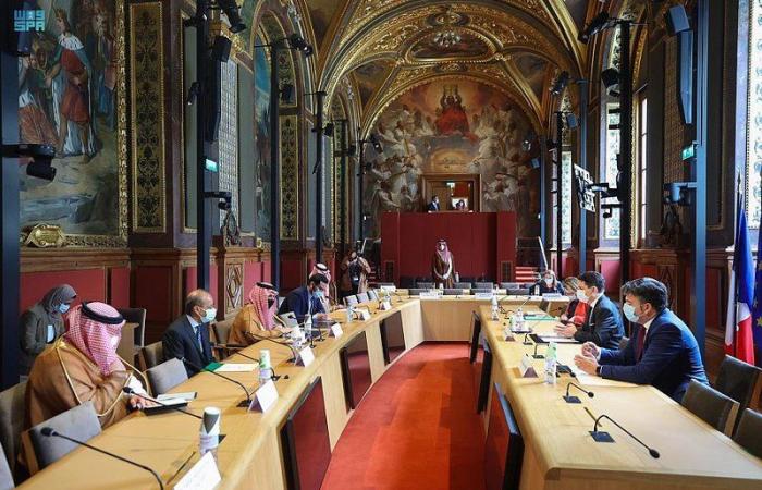 وزير الخارجية يعقد جلسة نقاش مع مجلس الشيوخ الفرنسي