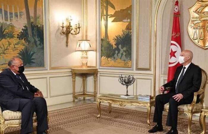 وزير الخارجية: نثق في قدرة القيادة التونسية على تجاوز الظروف الدقيقة الحالية