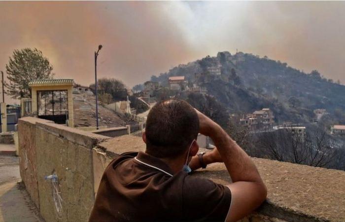 بالصور: لقطات مؤثرة من حرائق الجزائر.. دخان ورماد ونيران مستعرة تلتهم كل شيء!