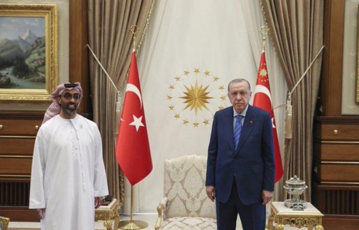 "أردوغان" و"طحنون بن زايد" يبحثان تعزيز العلاقات الثنائية بين البلدَيْن