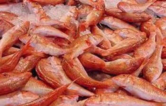 تعرف على أنواع وأسعار الجمبري في سوق السمك ببورسعيد