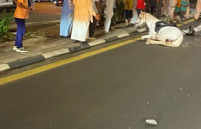 إصابة حصان وتلف مقدمة مركبة بعد حادث سير في "هدا" الطائف