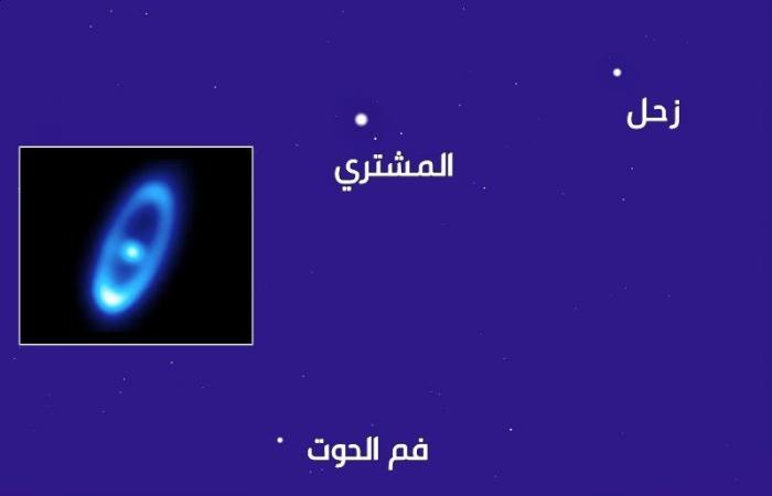 فلكية جدة: "نجم الخريف" يتلألأ في سماء السعودية والوطن العربي