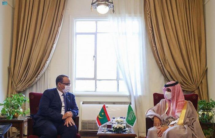 وزير الخارجية يلتقي نظيره الموريتاني ويستعرضان سبل تعزيز العلاقات بين البلدين