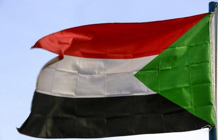 صمغ عربي وثروة سمكية.. السودان يطرح 124 مشروعاً استثمارياً على السعودية