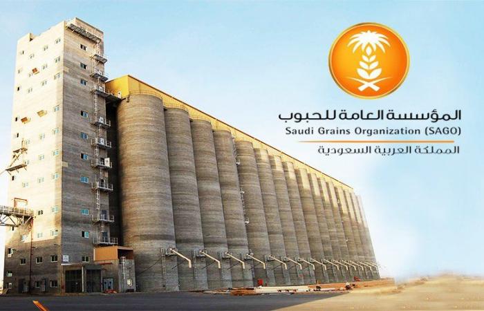 بكمية 382 ألف طن.. "الحبوب" ترسي الدفعة الخامسة من القمح المستورد هذا العام