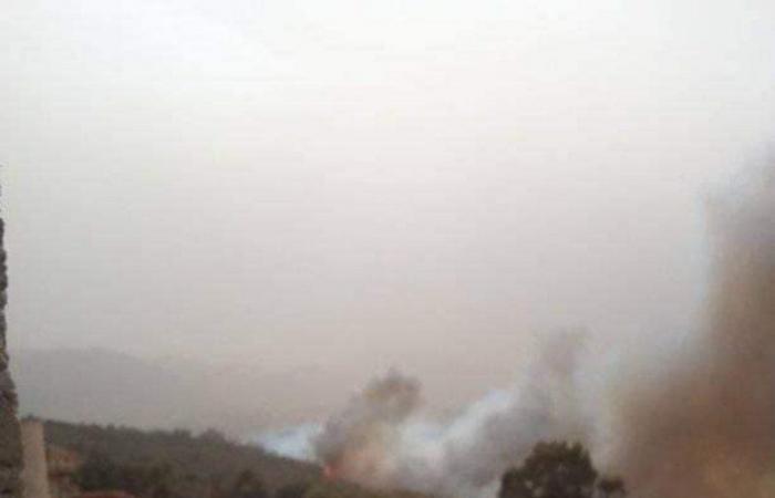 بالصور والفيديو.. اندلاع حرائق عدة بـ"بومرداس الجزائرية" وإجلاء السكان