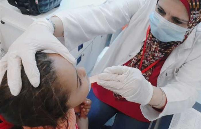 كشف وعلاج مجاني لـ11 ألفا و634 مواطنا بـ7 قوافل طبية في قرى المنيا