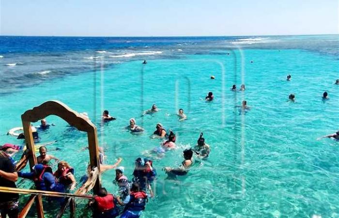 إقبال سياحي على «السنوركلينج» لمشاهدة الشعاب المرجانية والأسماك بالبحر الأحمر (صور)