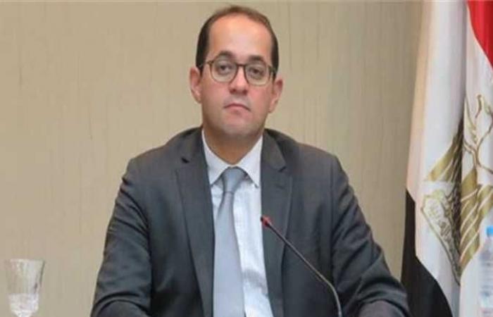 نائب وزير المالية: الاقتصاد المصري بات أكثر قدرة على تحقيق المستهدفات