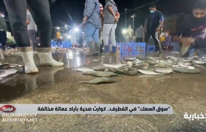 بالفيديو من سوق القطيف.. عمالة مخالفة تبيع أسماكاً بجوار المجاري وبين الأقدام