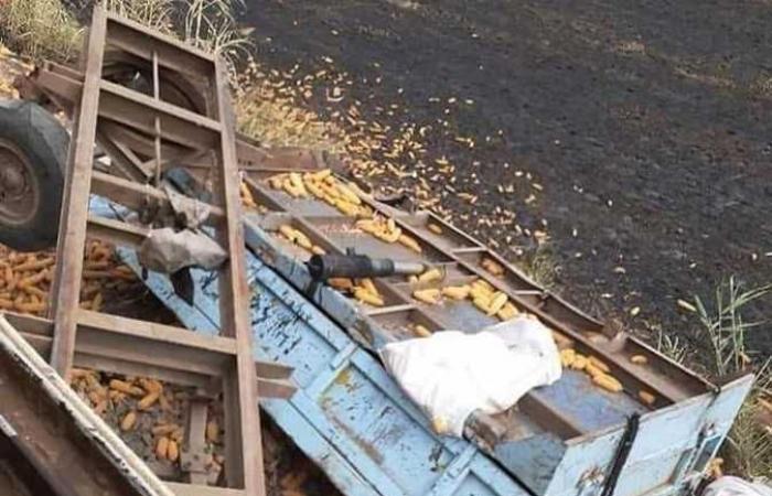 اصطدام قطار بمقطورة محملة بالذرة دون وقوع إصابات في الدقهلية (صور)