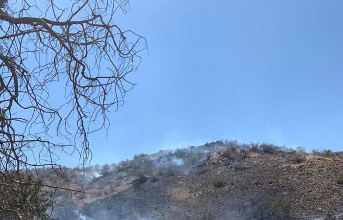 شاهد.. السيطرة على حريقين اندلعا في غابات قريتين جنوب الطائف