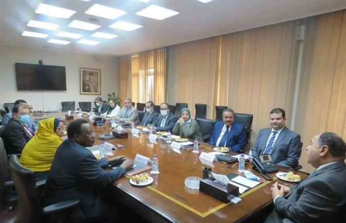 «الأمم المتحدة»: التعاون بين الضرائب المصرية والسودانية يُعد نموذجًا في نقل الخبرات