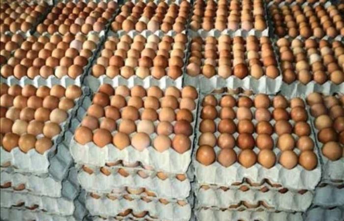 «الثروة الداجنة»: ٥ جنيهات تراجعًا بسعر بيض المائدة بعد تدخل الحكومة