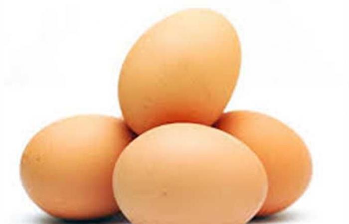 رئيس اتحاد منتجي الدواجن: بيض بسعر مخفض في المجمعات الاستهلاكية