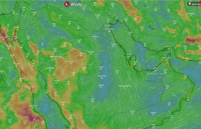 "الحصيني" يكشف توقعاته لحالة الطقس من الخميس إلى السبت في المملكة