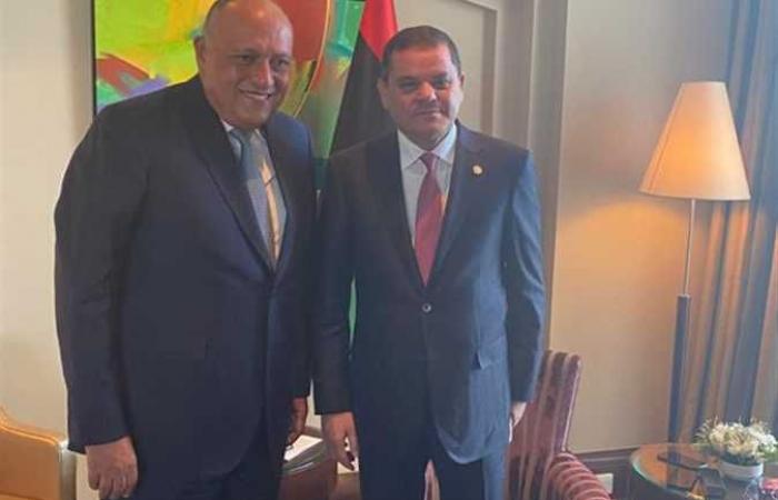 تفاصيل لقاء وزير الخارجية مع رئيس الحكومة الليبية بطرابلس