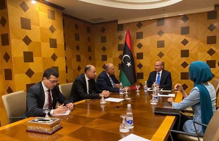 وزير الخارجية يُجري لقاءات مع رئيس المجلس الرئاسي الليبي ونائبيه