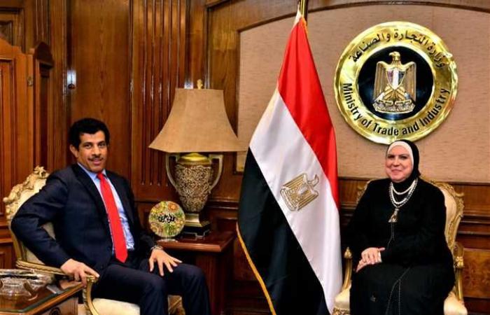 سفير قطر بالقاهرة : الاستثمارات القطرية ظلت متواجدة بالسوق المصري خلال المرحلة الماضية