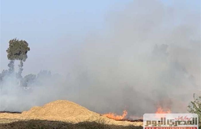 البيئة: تحرير ١٢ محضر لمزارعين قاموا بحرق قش الأرز