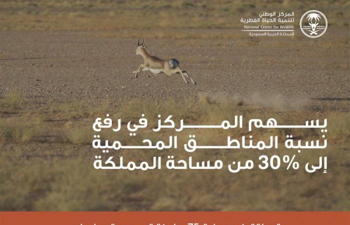 "السعودية الخضراء".. "الفطرية": 30% من مساحة المملكة ستكون مناطق محمية