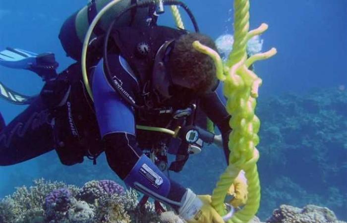 صيانة شمندورات النشات السياحية للحفاظ علي الشعاب المرجانية بالبحر الأحمر