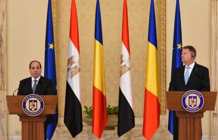 أستاذ علاقات دولية: هناك تنسيق كبير بين مصر ورومانيا أبرزها قضايا الإرهاب