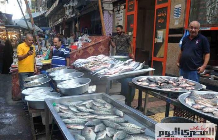 استقرار أسعار الأسماك في سوق العبور .. والبلطي بــ 24 جنيهًا