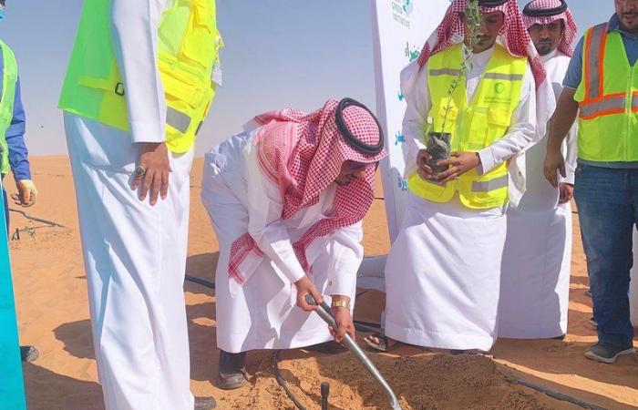 ضمن مبادرة السعودية الخضراء .."العنزي " يدشن زراعة 1000 شجرة سدر بشرورة