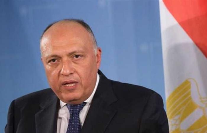 وزير الخارجية : هناك توافق دولي على استمرار مفاوضات سد النهضة