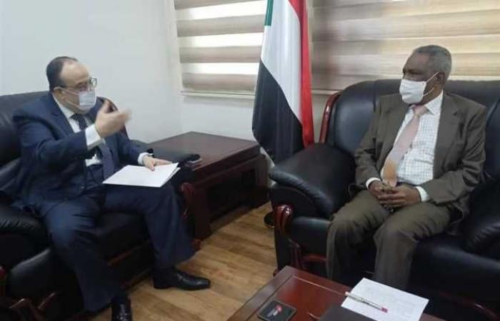 السفير المصري في الخرطوم يبحث مع مسؤول سوداني مشروعات الربط الكهربائي والسكة الحديد